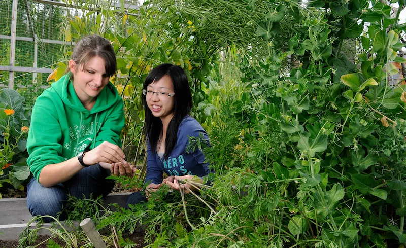 Two students work in an environmental engineering lab, surrounded by plantlife.