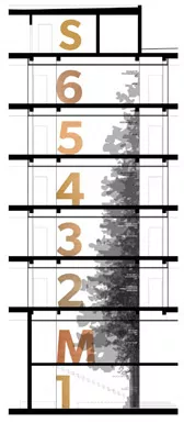 Height comparison with a tree