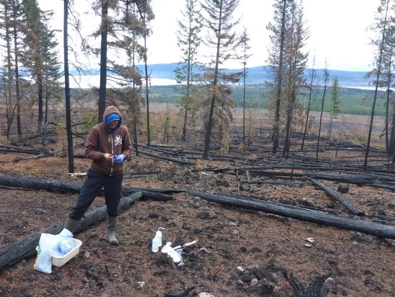 PhD student Kristen Kieta sampling in Shovel Lake fire