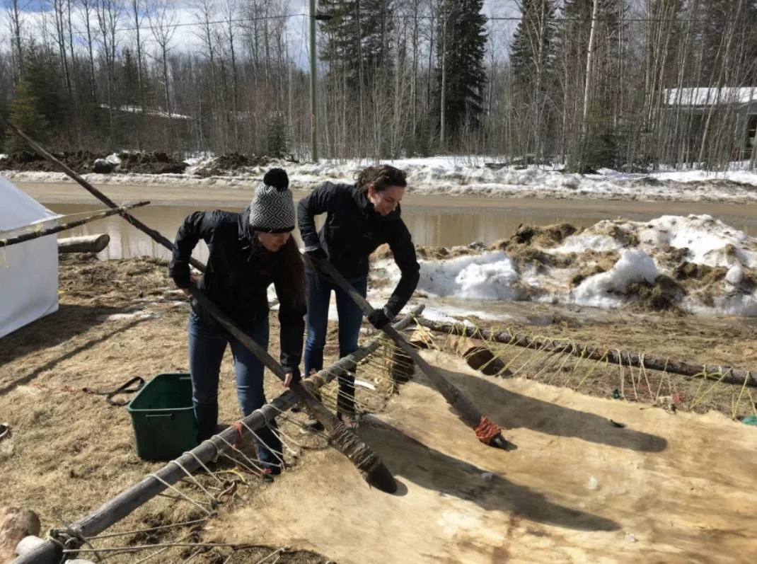 Students working on a moosehide