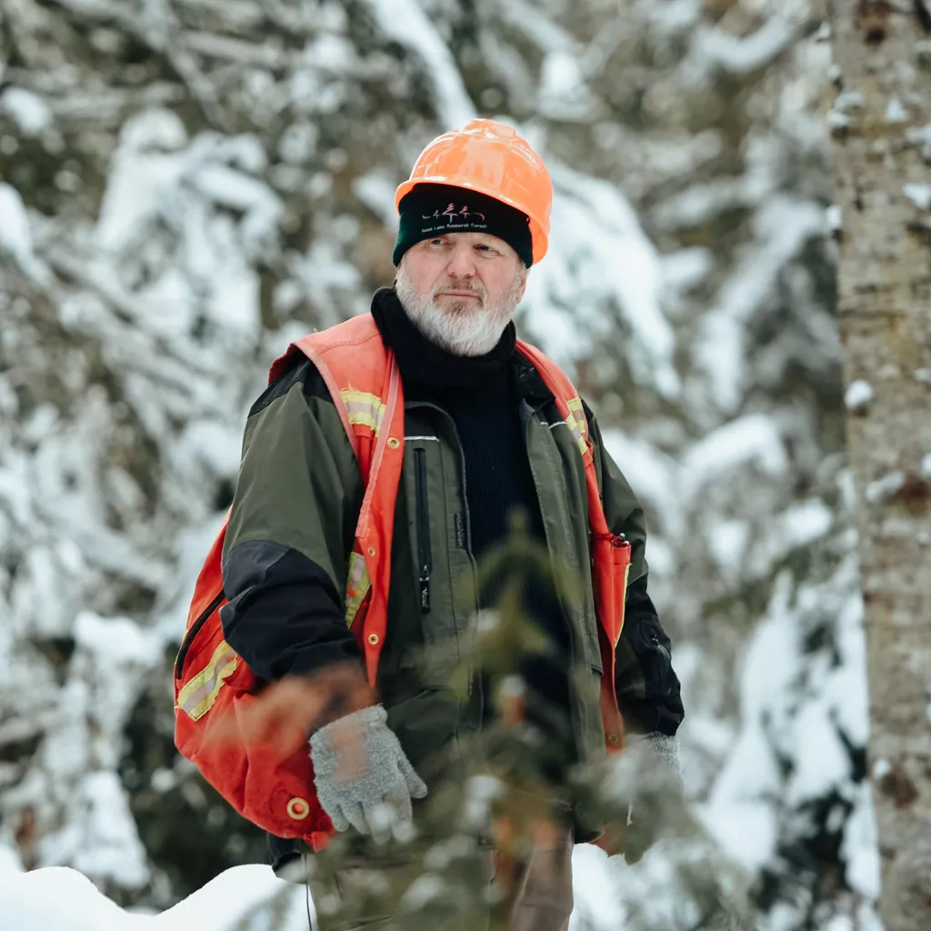 Person in orange safety vest and hard hat stands among trees